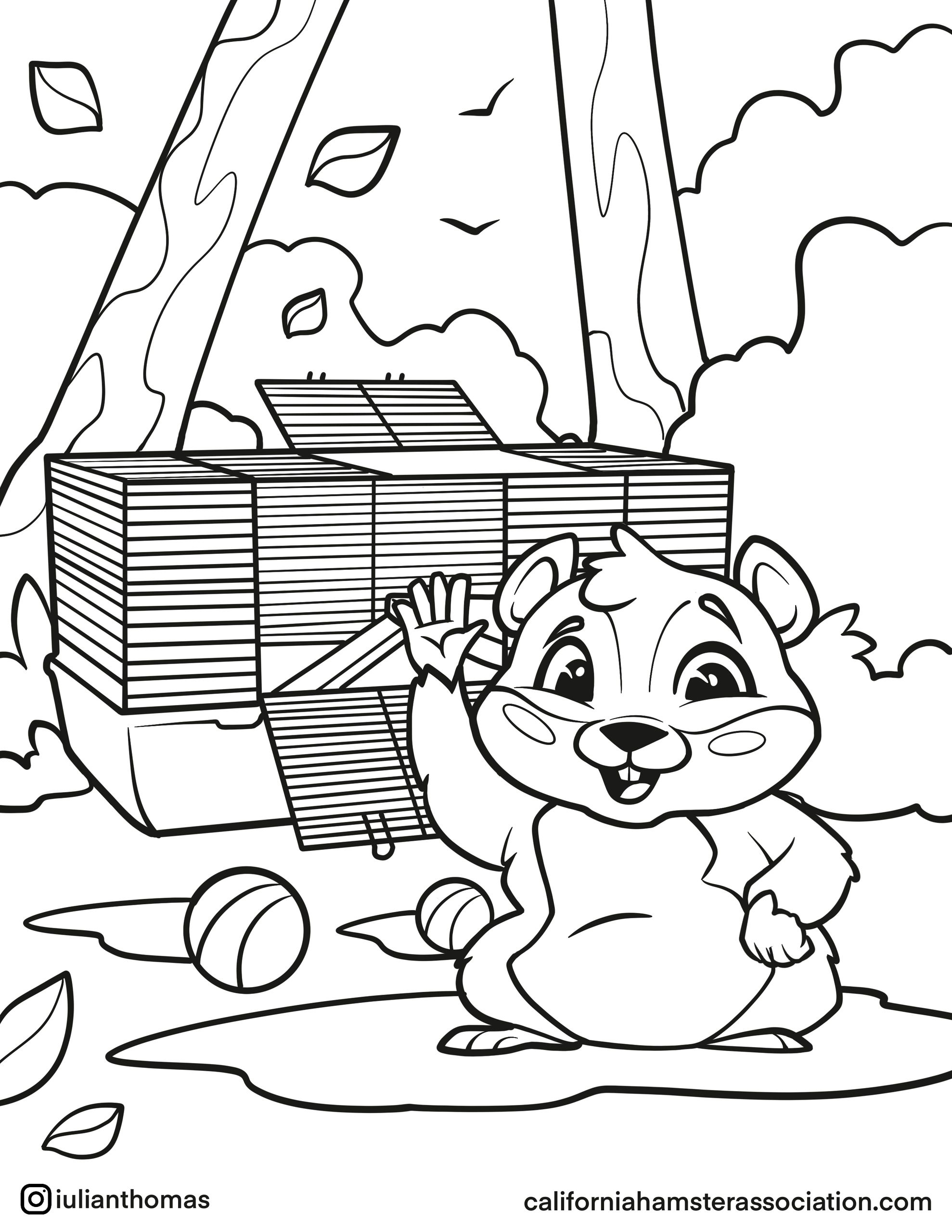Free Hamster Coloring Page